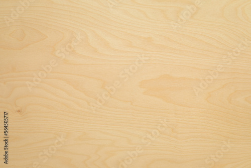 Wood texture background. Texture of wood. High key birch wood plank natural texture, plank texture background, plank tabletop background. 