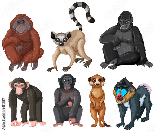 Set of ape animals
