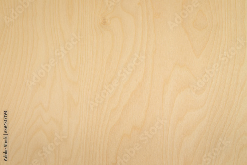 High key birch wood plank natural texture, plank texture background, plank tabletop background. Texture of wood. 
