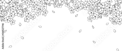 桜のペン画の背景