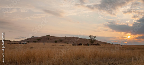 There are many large and small farms in the town of Ladysmith in the state of Kwazulu Natal in South Africa. This sunset at this farm located near the town creates a perfect view. photo