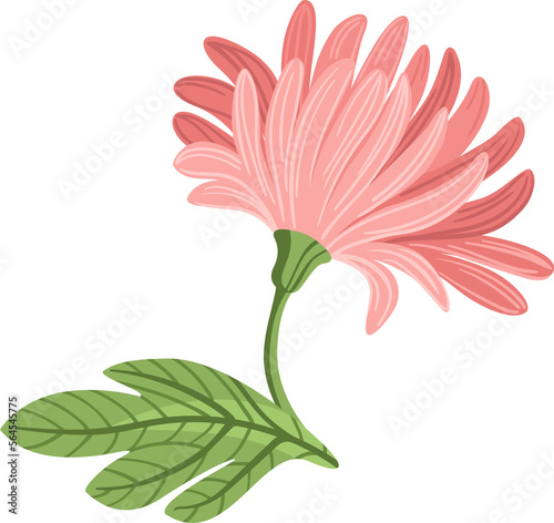Pink flower. Illustration