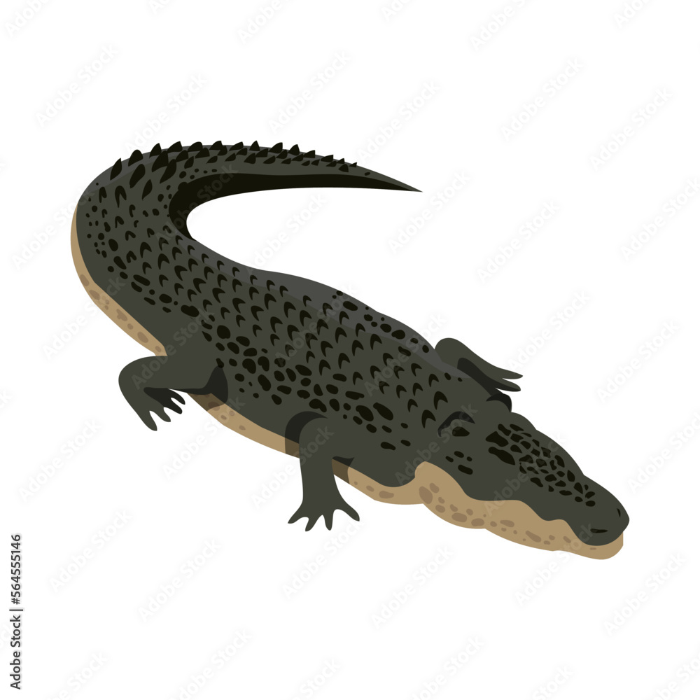Isometric Crocodile Illustration Isometric Crocodile Illustration