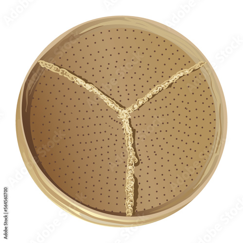 Round old traditional sieve, for sifting grain, wheat, flour, DIY tool for cooking in the kitchen
