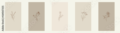 An elegant collection of botanical templates for stories. Herbs and flowers on beige and brown background. Aesthetic design for social networks, brochures, beauty salon. Modern minimalism. photo