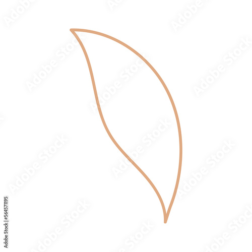 Organic line and shape in minimal style