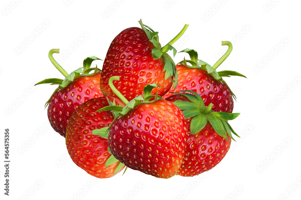 Fresh strawberries isolated on transparent background (.PNG) Fresh strawberries isolated on transparent background (.PNG)