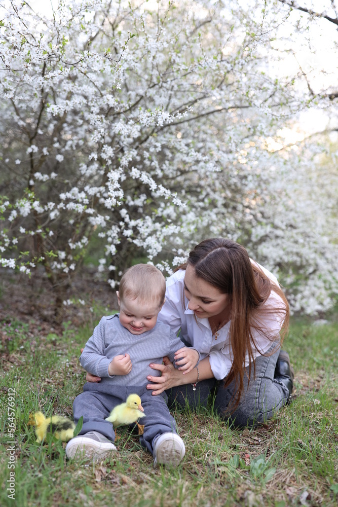 a mother and a little son are sitting on the green grass near a blooming tree and little yellow ducklings are near them. two little ducklings and a one-year-old boy a mother and a little son are sitting on the green grass near a blooming tree and little yellow ducklings are near them. two little ducklings and a one-year-old boy