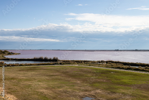 Aigues-Mortes salin