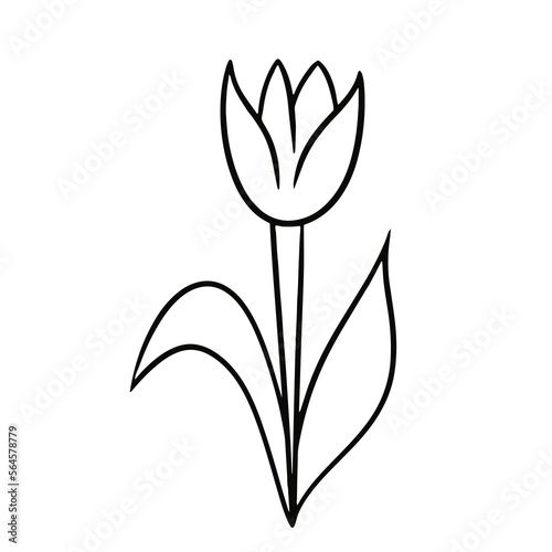 Monochrome tulip flower with leaves, doodle, vector cartoon