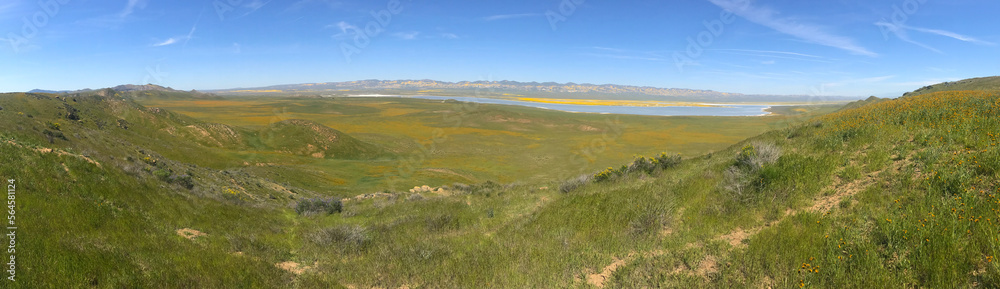 2017 Superbloom at Carrizo Plain National Monument