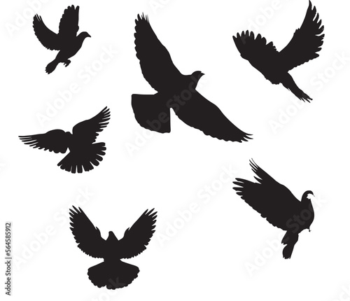 set of silhouettes of birds