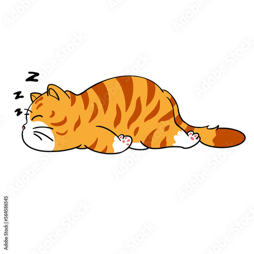 cat sleep cartoon
