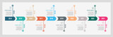 Yearly business timeline infographic template design and Presentation business can be used for Business concept with 12 options, steps or processes.