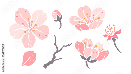 Set of sakura flowers. Beautiful decorative plants.