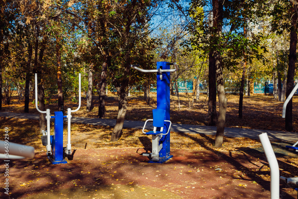 Fototapeta premium Blue outdoor sports equipments in pine trees park on sunny autumn day. Exercise stations in public park. Free outdoor gym.