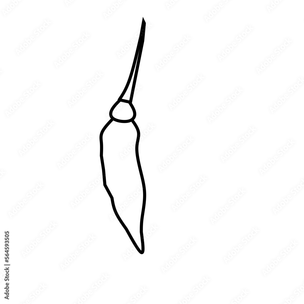 What kind Chili do you prefer?