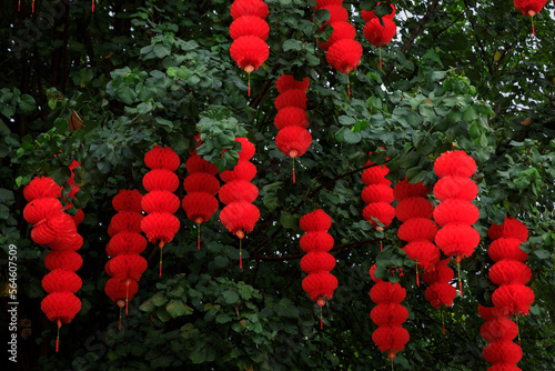 View of green tree decorated with traditional red lanterns for celebrating the Chinese spring festiva