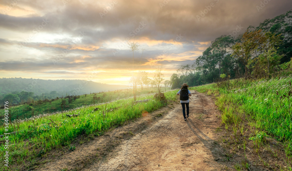 Rearview of relaxed woman walking on road in meadow field to travel in nature with morning sunlight sky. Rural scene. Outdoor activity in summer vacation. Landscape of green grass field and mountains.