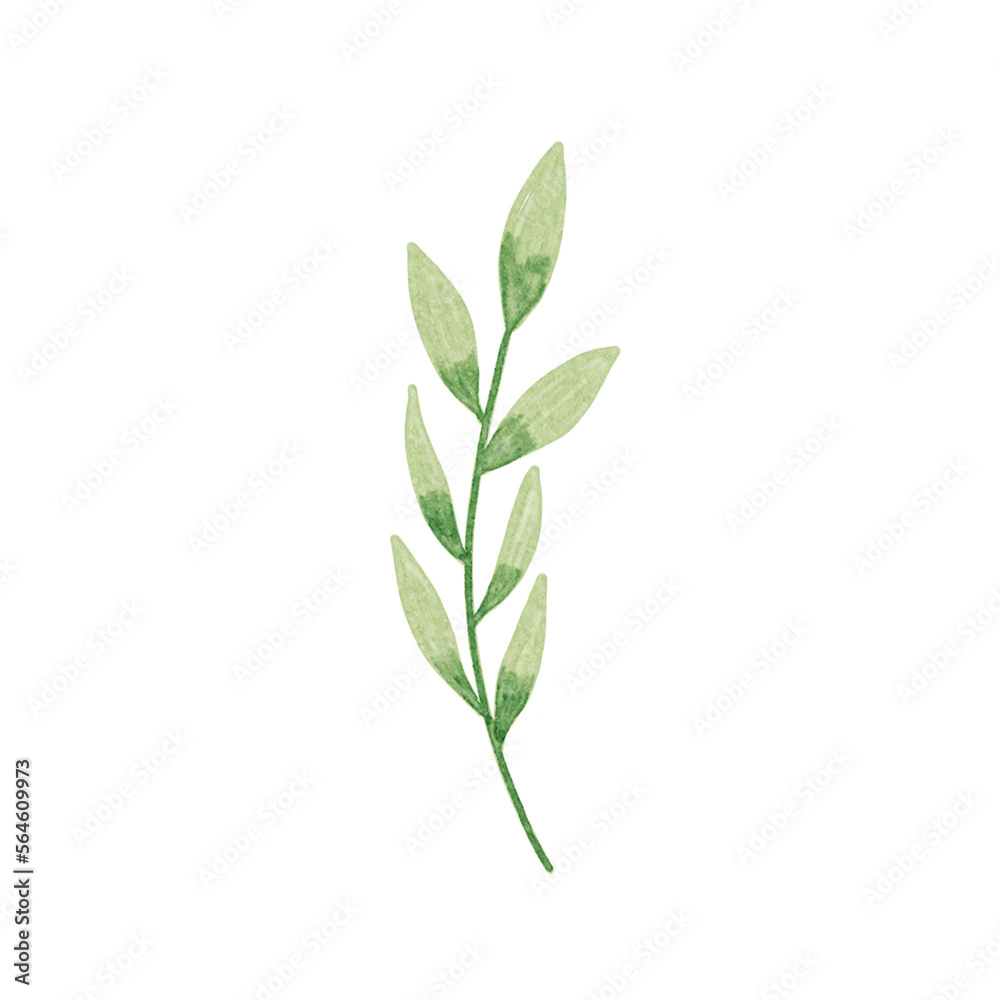 Fototapeta premium Watercolor Style Leaf Illustration, Perfect For Invitations, Decoration, Covers, Books, Ornaments, Decorations, And Stickers.