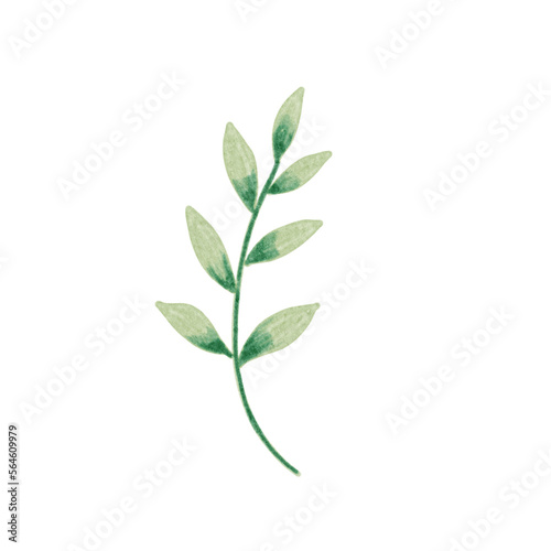 Watercolor Style Leaf Illustration  Perfect For Invitations  Decoration  Covers  Books  Ornaments  Decorations  And Stickers.