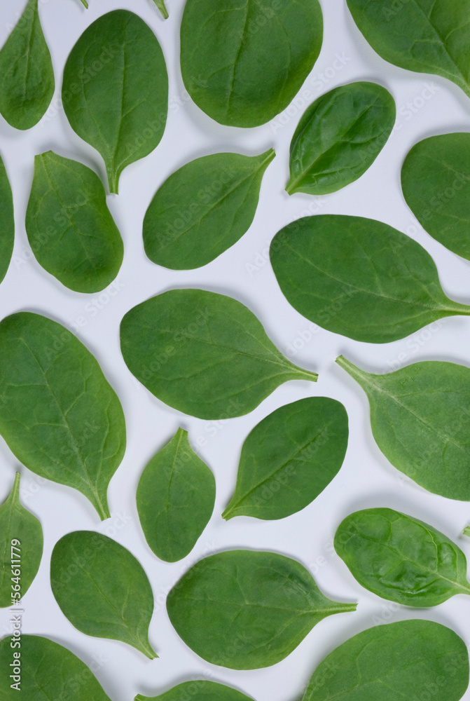 Vertical background of spinach leaves on a white background,healthy food concept Vertical background of spinach leaves on a white background,healthy food concept