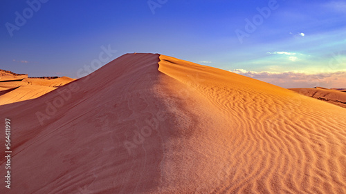 emirates desert and camels in dubai