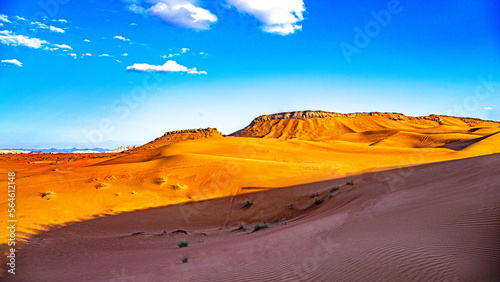 emirates desert and camels in dubai