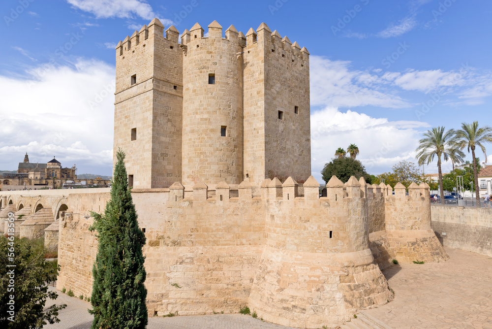 Torre de Calahorra and Puente Romano, Córdoba, Spain