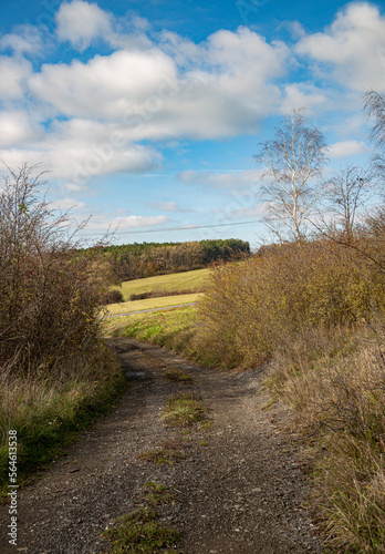 Old field road in autumn landscape