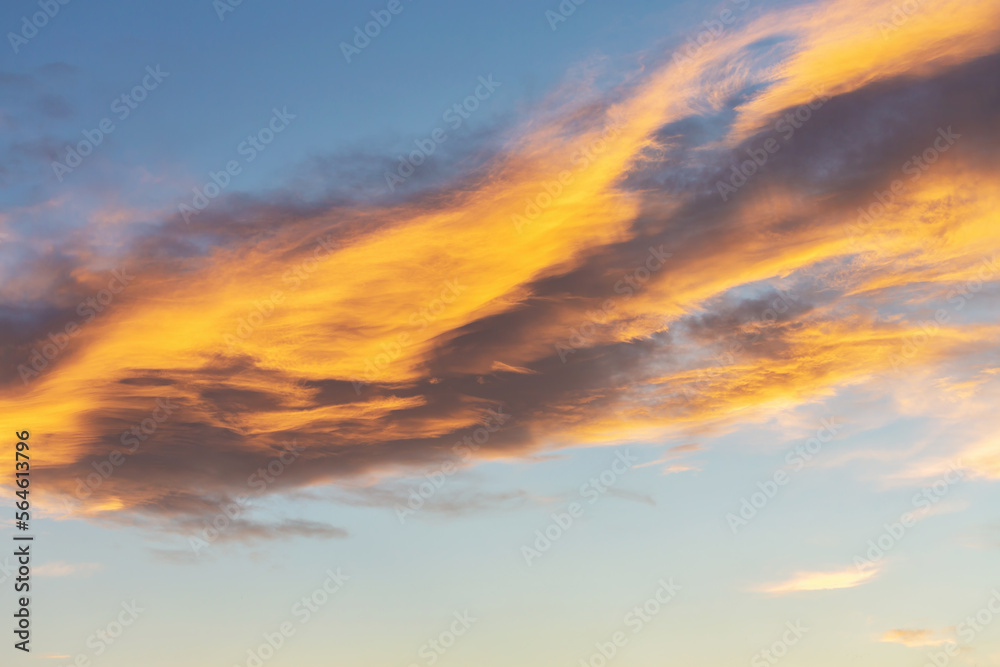 Dramatic cumulus clouds on sunny day at sunset painted with sun. Banner. Atmosphere multicolor background or wallpaper