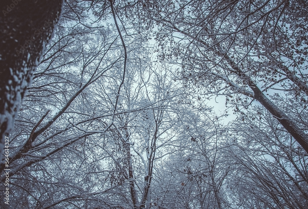 Winter is enchanting with its snow, the crunch of frost, covered the villages and towns. Winter is enchanting with its snow, the crunch of frost, covered the villages and towns.