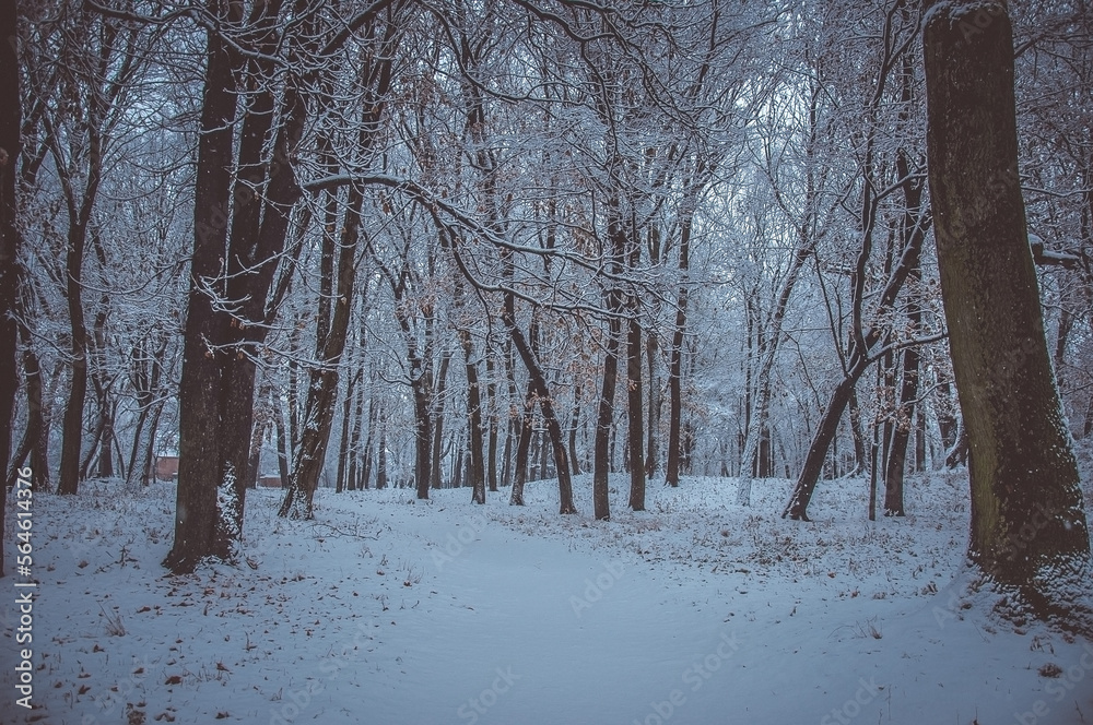 Winter is enchanting with its snow, the crunch of frost, covered the villages and towns. Winter is enchanting with its snow, the crunch of frost, covered the villages and towns.
