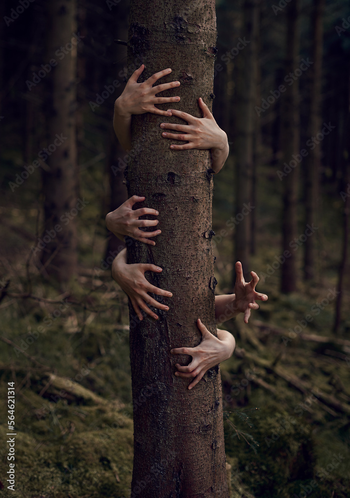Bizarre and surreal dreamy composite of impossible hands appearing from behind a tree in a forest