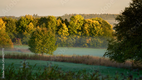 Nebel an der Heide im Herbst bei Sonnenaufgang