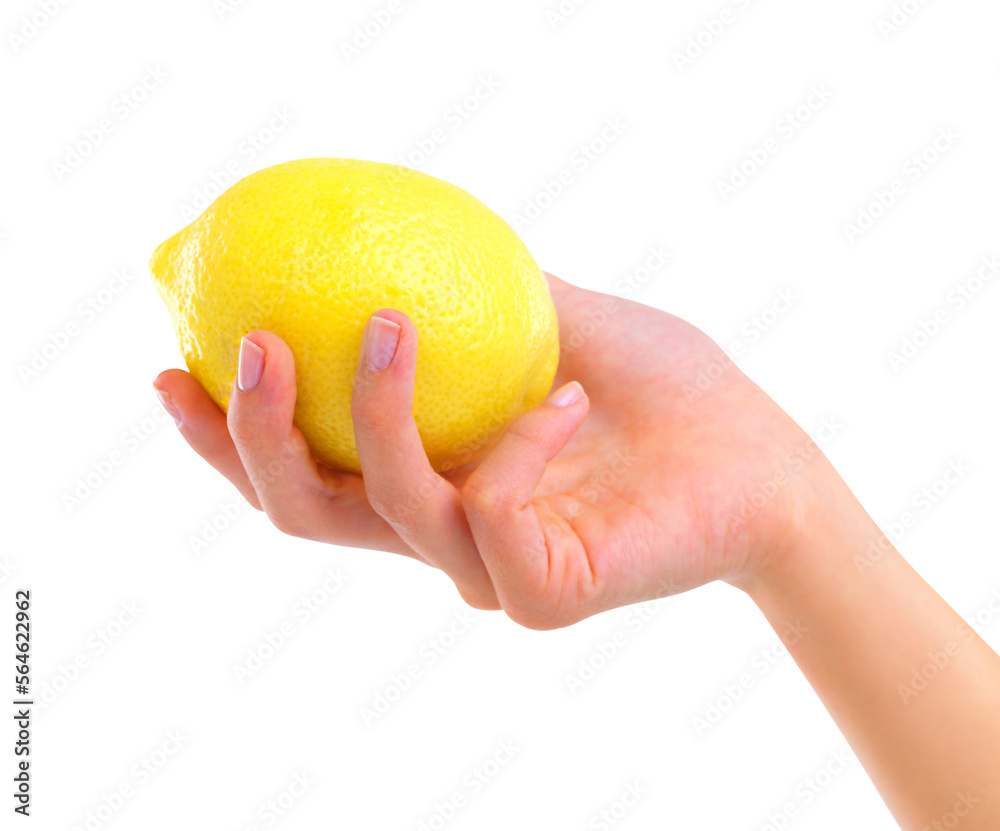 PNG Closeup studio shot of a woman holding a lemon PNG Closeup studio shot of a woman holding a lemon