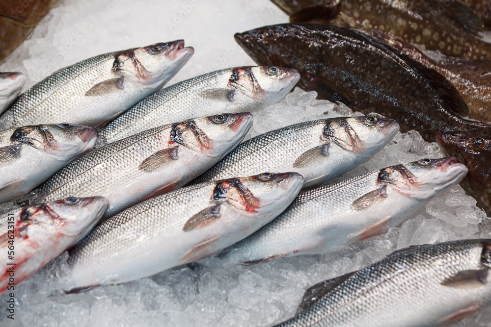 Fish on the ice for sale . Fresh fish in market 