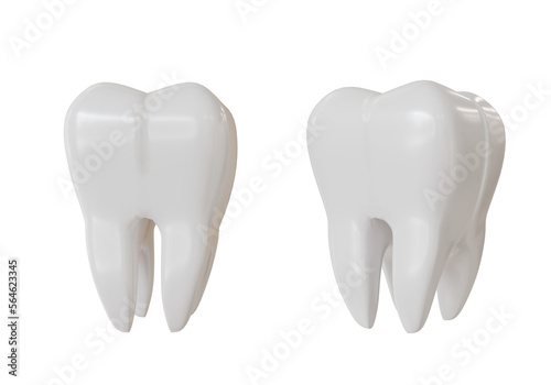 teeth 3d models on isolated background.