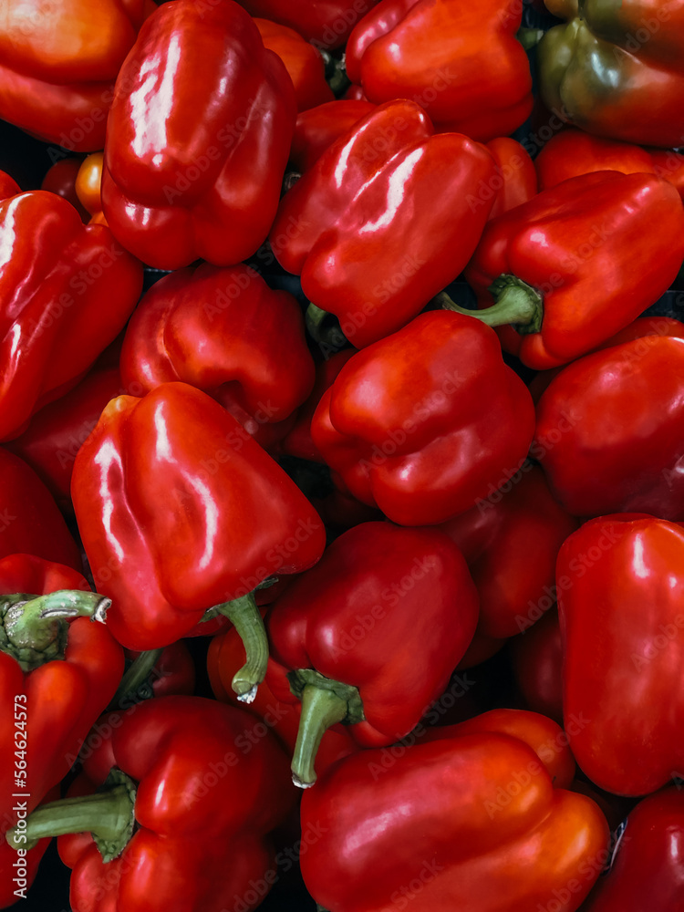A large amount of red, large, sweet peppers. Background, texture red, fresh pepper. Juicy, red peppers at the vegetable market. Organic plantation with the cultivation of sweet, red bell peppers. A large amount of red, large, sweet peppers. Background, texture red, fresh pepper. Juicy, red peppers at the vegetable market. Organic plantation with the cultivation of sweet, red bell peppers.