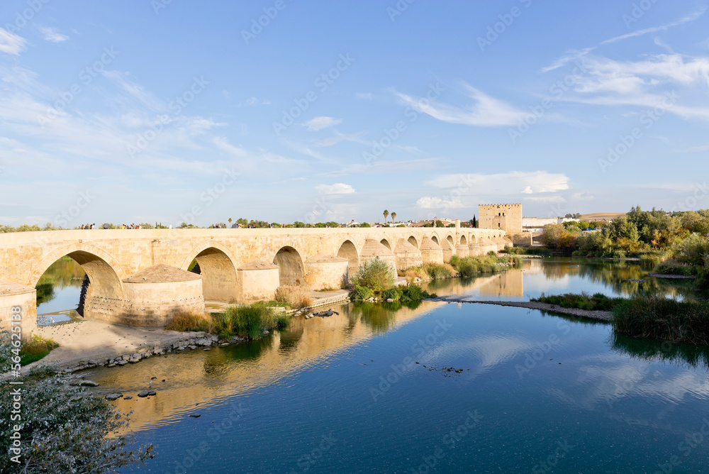 Torre de Calahorra and Puente Romano, Córdoba, Spain