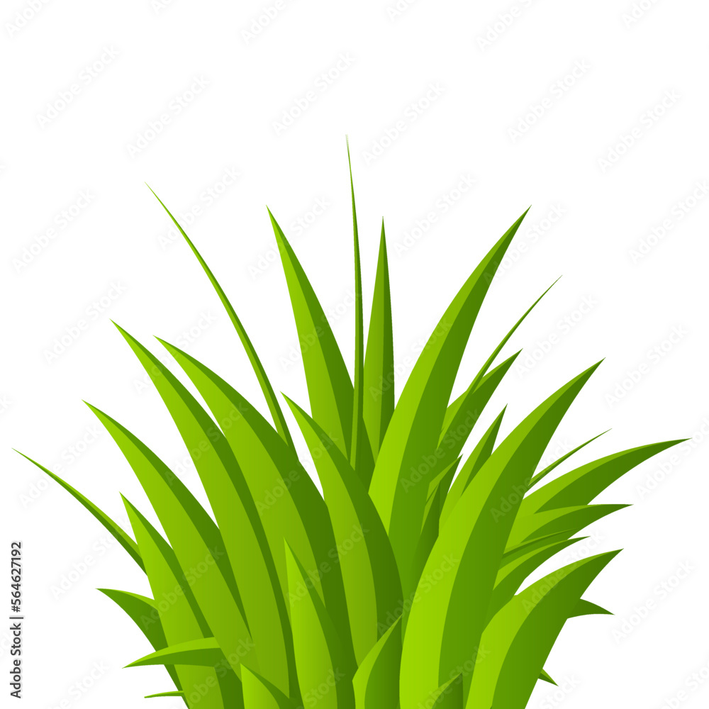 Fototapeta premium Green grass background. Fresh summer plants. Grass bushes. Hand drawn grass. Grass isolated. Eco symbol. Vector illustration