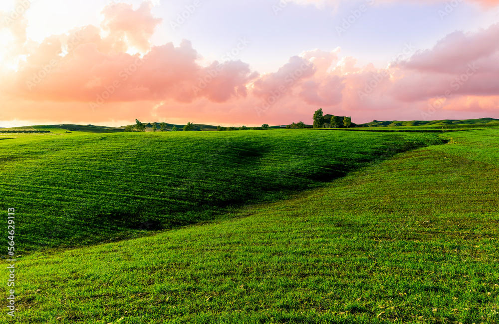 Scenic view at beautiful spring sunset in a green shiny field with green grass and golden sun rays, deep blue cloudy sky on a background , forest and country road, summer valley landscape Scenic view at beautiful spring sunset in a green shiny field with green grass and golden sun rays, deep blue cloudy sky on a background , forest and country road, summer valley landscape