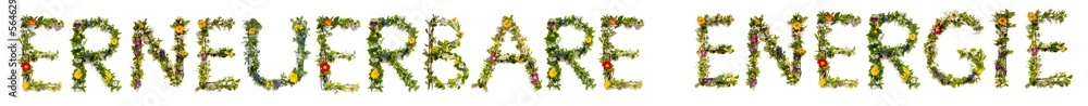 Flower Letters Building German Text Erneuerbare Energie Means Renewable Energy