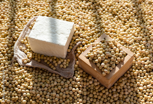 Soybeans in a wooden bowl and tofu