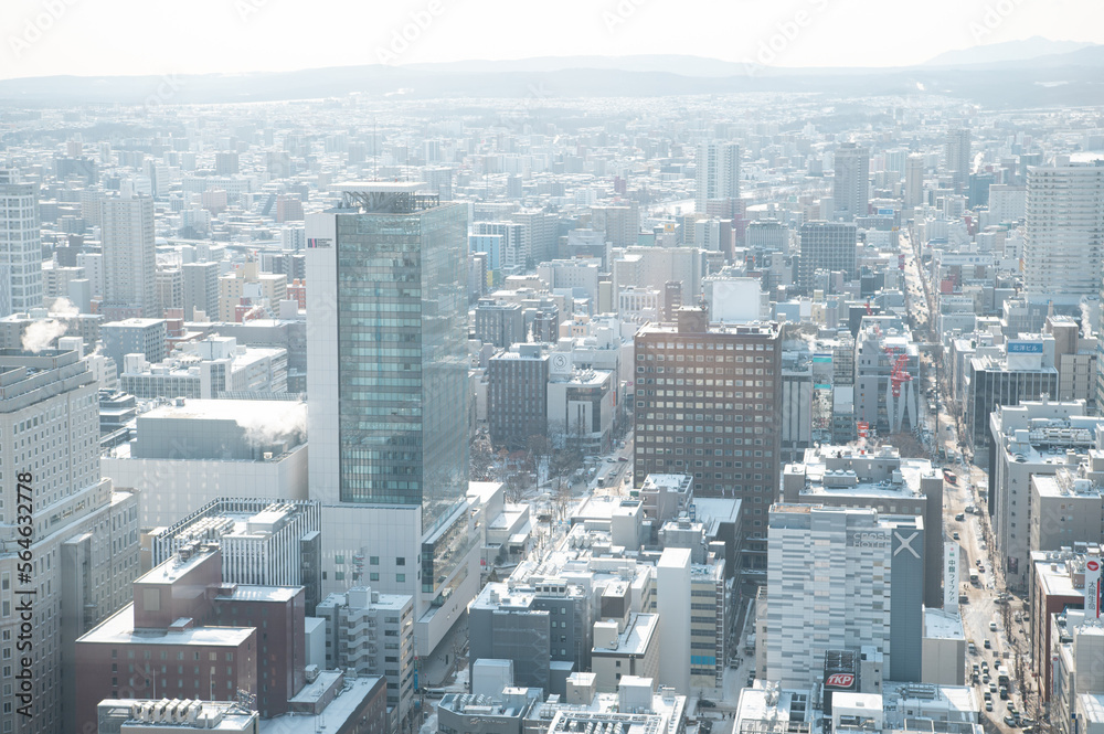 Fototapeta premium 北海道 札幌 冬景色 素材