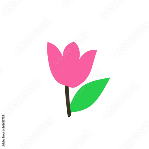 pink tulip flower isolated © Aldi