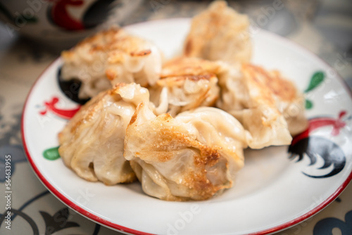 Close Up View of Fried Dumplings or Gyoza
