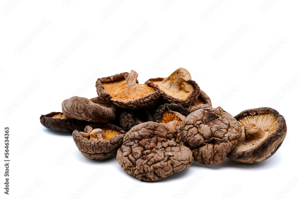 Dried Shiitake Mushroom isolated on white background. Dried Shiitake Mushroom isolated on white background.