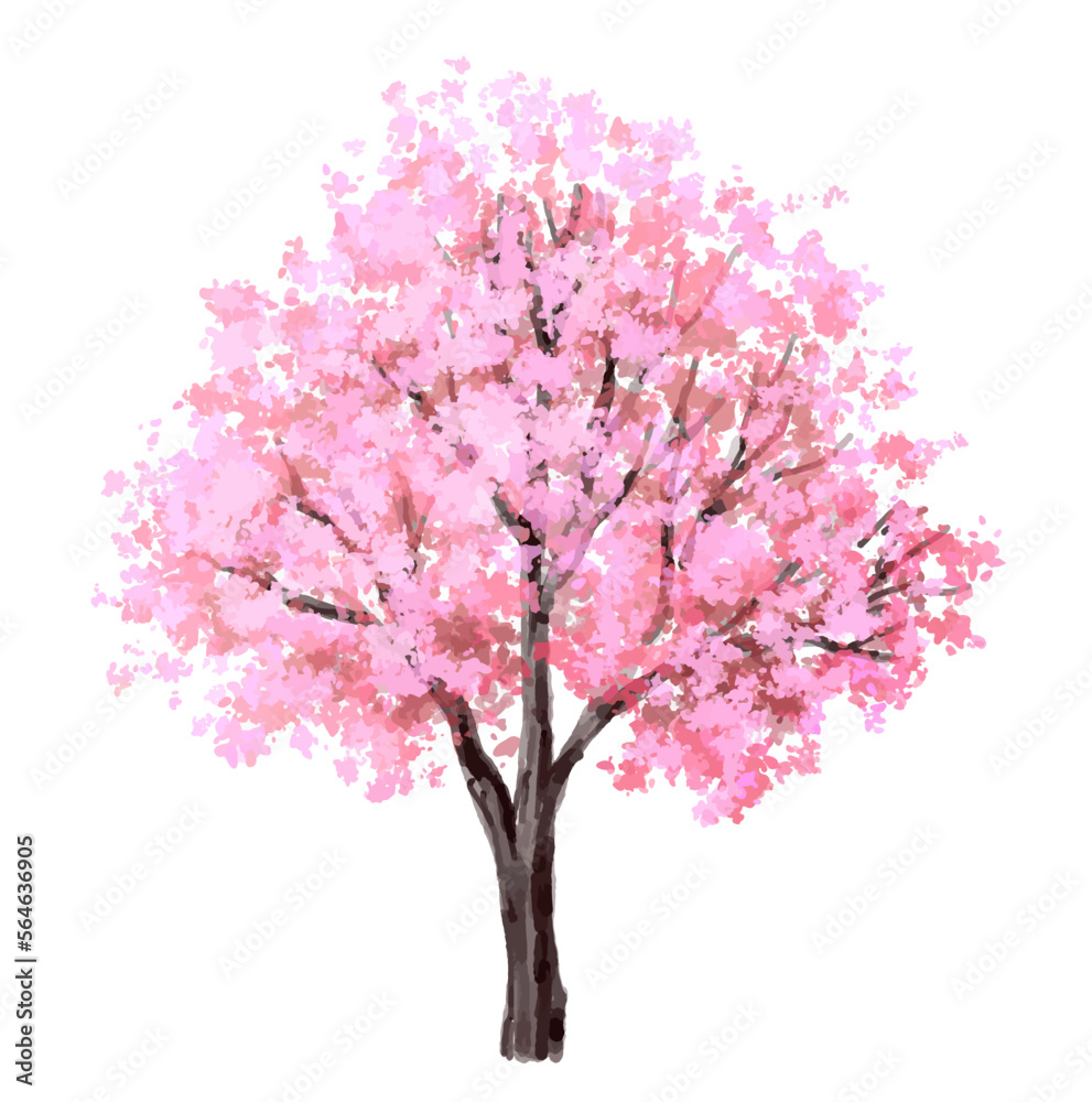 Obraz premium Vector watercolor blooming flower Sakura tree side view isolated on white background for landscape and architecture drawing, elements for environment, garden,botanical elements for section in spring