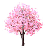Vector watercolor blooming flower Sakura tree side view isolated on white background for landscape and architecture drawing, elements for environment, garden,botanical elements for section in spring